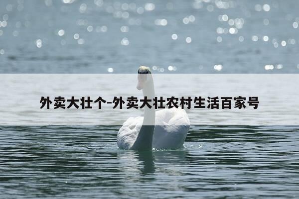 外卖大壮个-外卖大壮农村生活百家号-第1张图片-优惠活动网