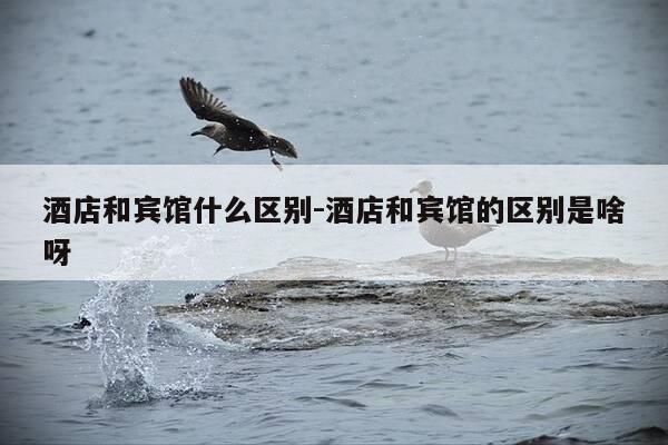 酒店和宾馆什么区别-酒店和宾馆的区别是啥呀-第1张图片-优惠活动网
