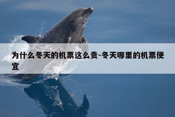 为什么冬天的机票这么贵-冬天哪里的机票便宜-第1张图片-优惠活动网
