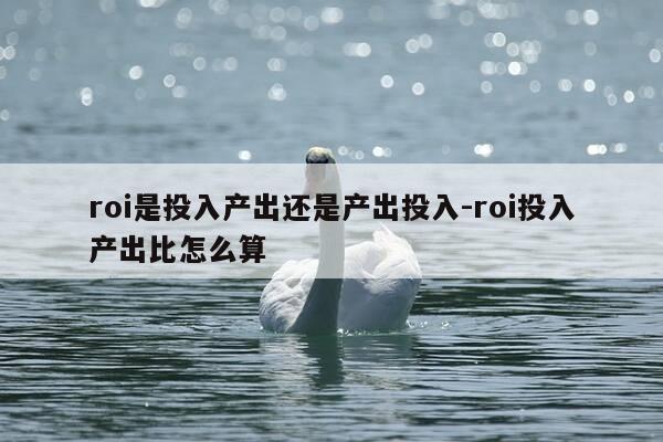 roi是投入产出还是产出投入-roi投入产出比怎么算-第1张图片-优惠活动网 roi是投入产出还是产出投入-roi投入产出比怎么算-第1张图片-优惠活动网