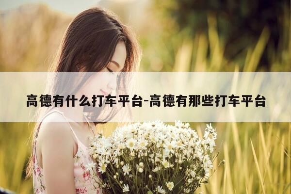 高德有什么打车平台-高德有那些打车平台-第1张图片-优惠活动网