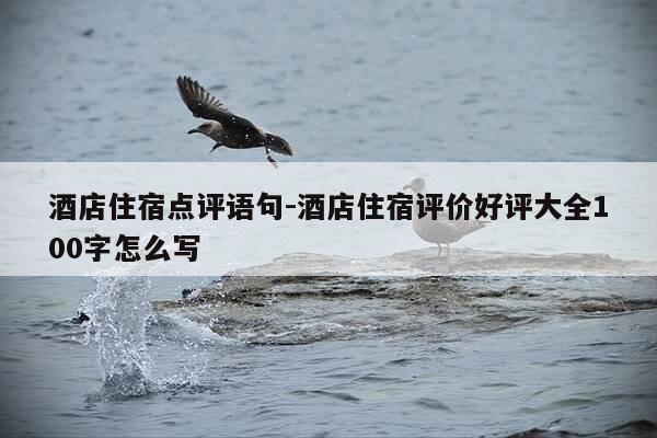 酒店住宿点评语句-酒店住宿评价好评大全100字怎么写-第1张图片-优惠活动网