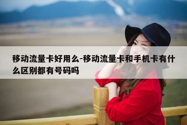 移动流量卡好用么-移动流量卡和手机卡有什么区别都有号码吗-第1张图片-优惠活动网 移动流量卡好用么-移动流量卡和手机卡有什么区别都有号码吗-第1张图片-优惠活动网