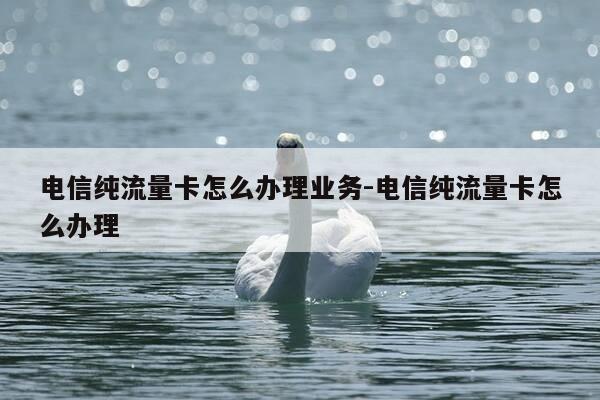 电信纯流量卡怎么办理业务-电信纯流量卡怎么办理-第1张图片-优惠活动网