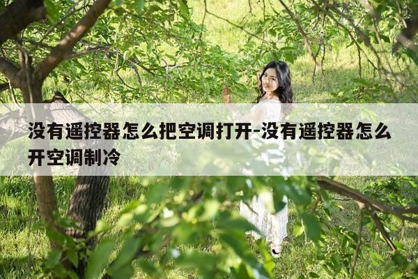 没有遥控器怎么把空调打开-没有遥控器怎么开空调制冷-第1张图片-优惠活动网