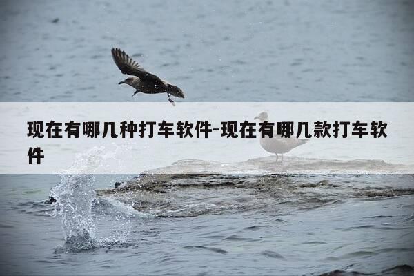 现在有哪几种打车软件-现在有哪几款打车软件-第1张图片-优惠活动网