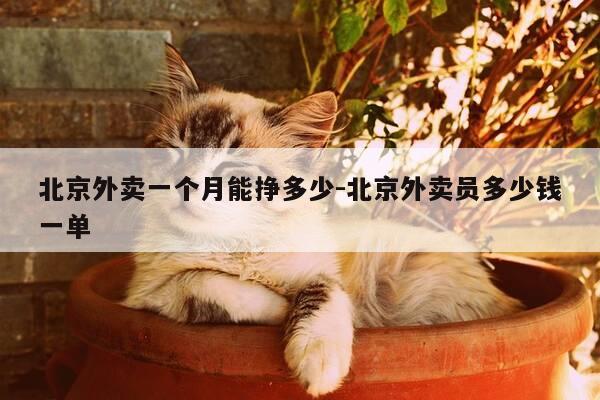 北京外卖一个月能挣多少-北京外卖员多少钱一单-第1张图片-优惠活动网 北京外卖一个月能挣多少-北京外卖员多少钱一单-第1张图片-优惠活动网