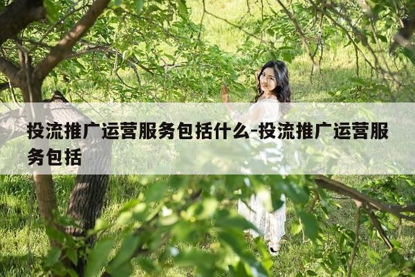 投流推广运营服务包括什么-投流推广运营服务包括-第1张图片-优惠活动网