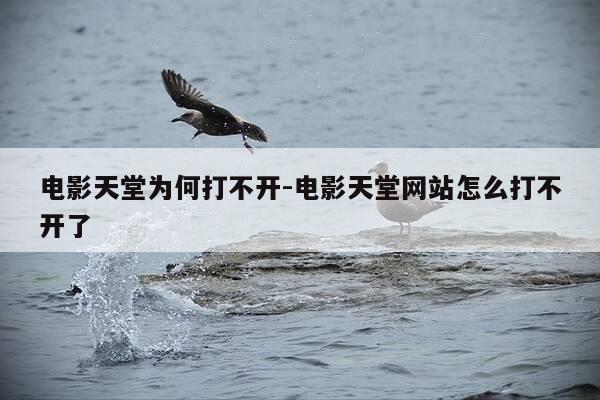 电影天堂为何打不开-电影天堂网站怎么打不开了-第1张图片-优惠活动网