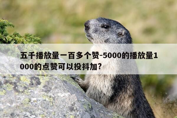五千播放量一百多个赞-5000的播放量1000的点赞可以投抖加?-第1张图片-优惠活动网