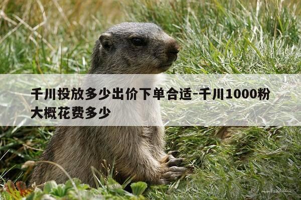 千川投放多少出价下单合适-千川1000粉大概花费多少-第1张图片-优惠活动网 千川投放多少出价下单合适-千川1000粉大概花费多少-第1张图片-优惠活动网