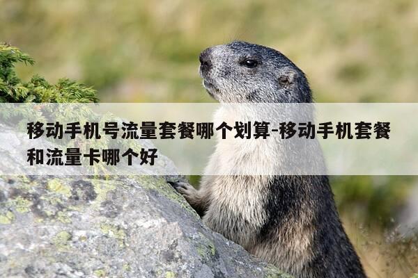 移动手机号流量套餐哪个划算-移动手机套餐和流量卡哪个好-第1张图片-优惠活动网