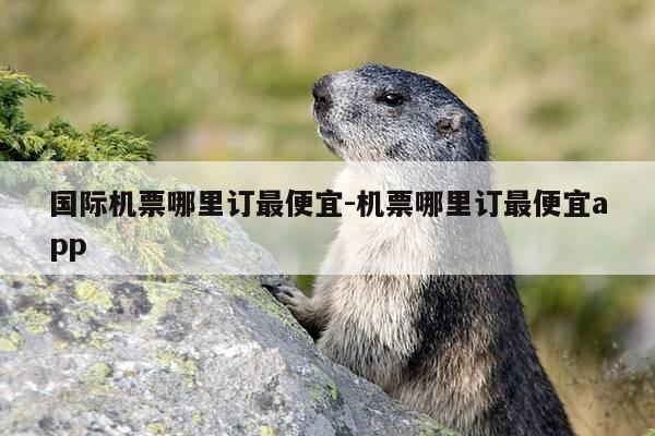 国际机票哪里订最便宜-机票哪里订最便宜app-第1张图片-优惠活动网