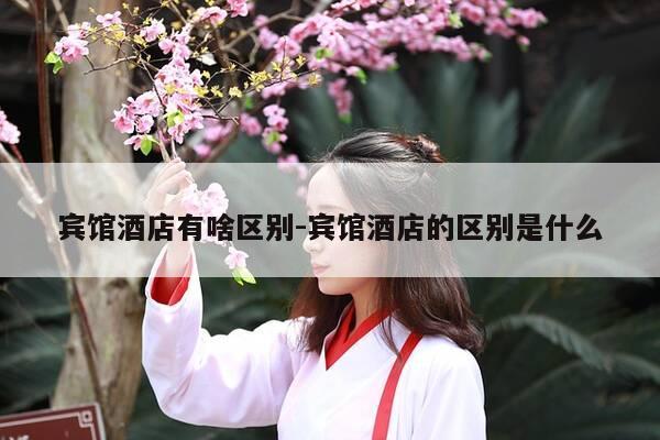 宾馆酒店有啥区别-宾馆酒店的区别是什么-第1张图片-优惠活动网