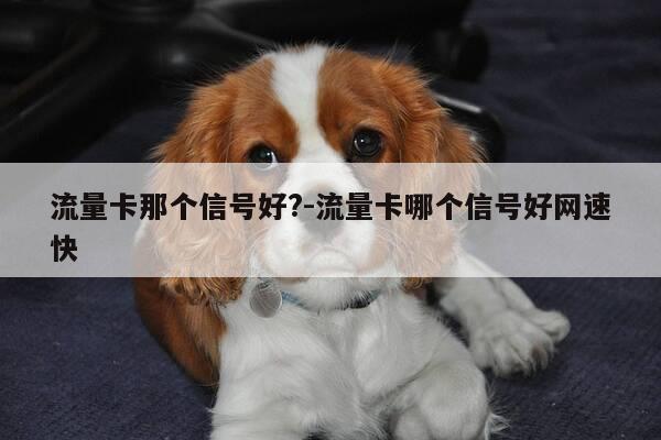 流量卡那个信号好?-流量卡哪个信号好网速快-第1张图片-优惠活动网