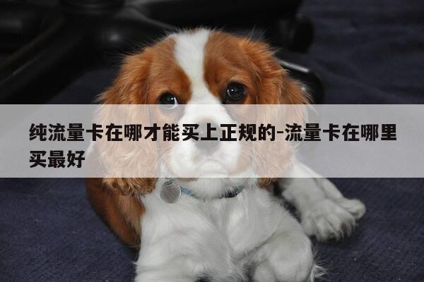 纯流量卡在哪才能买上正规的-流量卡在哪里买最好-第1张图片-优惠活动网