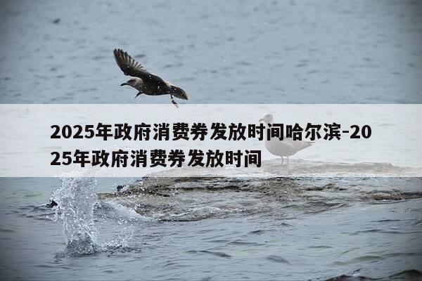 2025年政府消费券发放时间哈尔滨-2025年政府消费券发放时间-第1张图片-优惠活动网