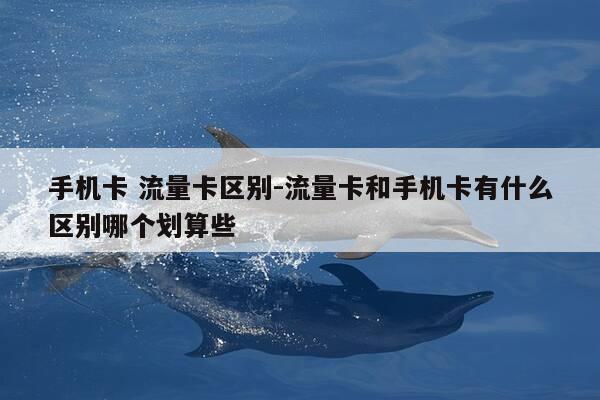 手机卡 流量卡区别-流量卡和手机卡有什么区别哪个划算些-第1张图片-优惠活动网