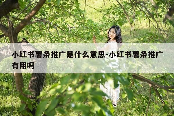 小红书薯条推广是什么意思-小红书薯条推广有用吗-第1张图片-优惠活动网