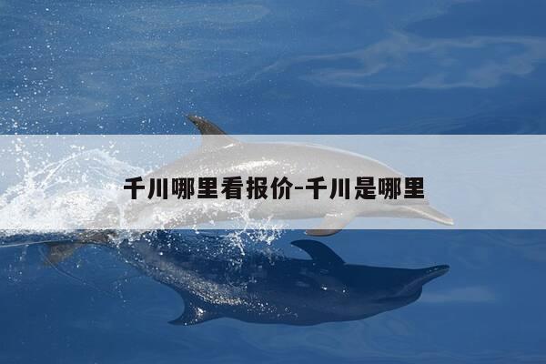 千川哪里看报价-千川是哪里-第1张图片-优惠活动网