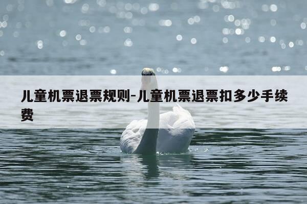 儿童机票退票规则-儿童机票退票扣多少手续费-第1张图片-优惠活动网