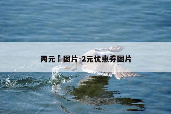 两元劵图片-2元优惠券图片-第1张图片-优惠活动网