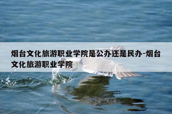 烟台文化旅游职业学院是公办还是民办-烟台文化旅游职业学院-第1张图片-优惠活动网