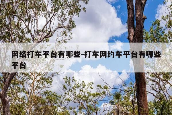 网络打车平台有哪些-打车网约车平台有哪些平台-第1张图片-优惠活动网