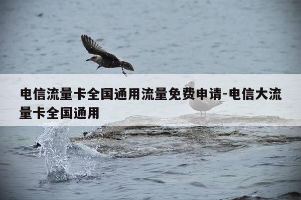 电信流量卡全国通用流量免费申请-电信大流量卡全国通用-第1张图片-优惠活动网