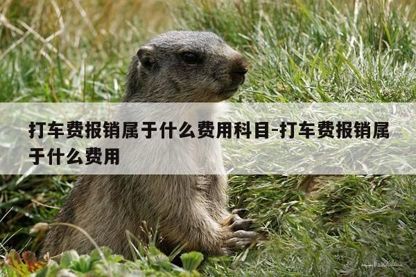 打车费报销属于什么费用科目-打车费报销属于什么费用-第1张图片-优惠活动网