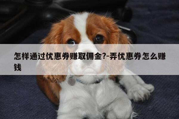 怎样通过优惠券赚取佣金?-弄优惠券怎么赚钱-第1张图片-优惠活动网