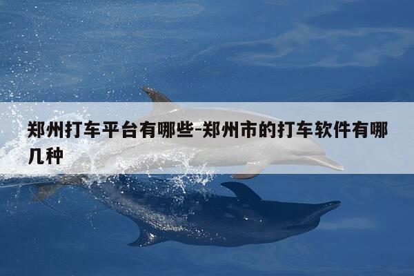 郑州打车平台有哪些-郑州市的打车软件有哪几种-第1张图片-优惠活动网