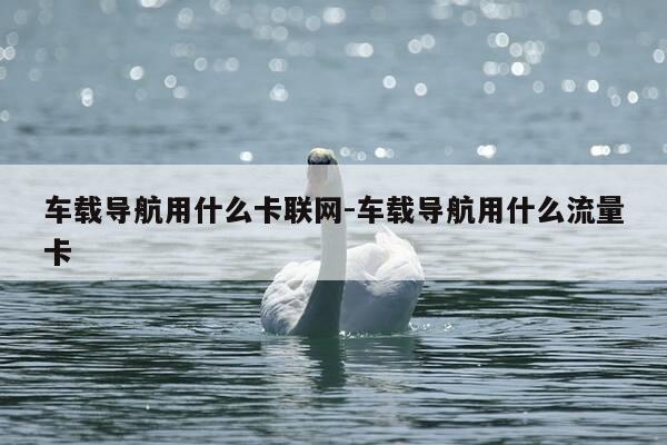 车载导航用什么卡联网-车载导航用什么流量卡-第1张图片-优惠活动网