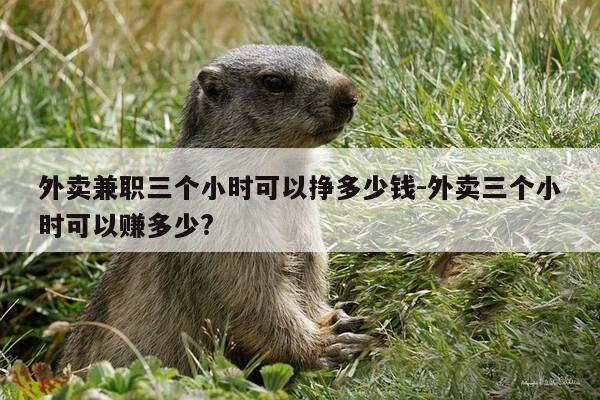 外卖兼职三个小时可以挣多少钱-外卖三个小时可以赚多少?-第1张图片-优惠活动网