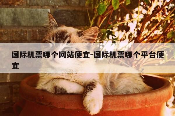 国际机票哪个网站便宜-国际机票哪个平台便宜-第1张图片-优惠活动网