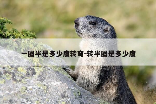 一圈半是多少度转弯-转半圈是多少度-第1张图片-优惠活动网