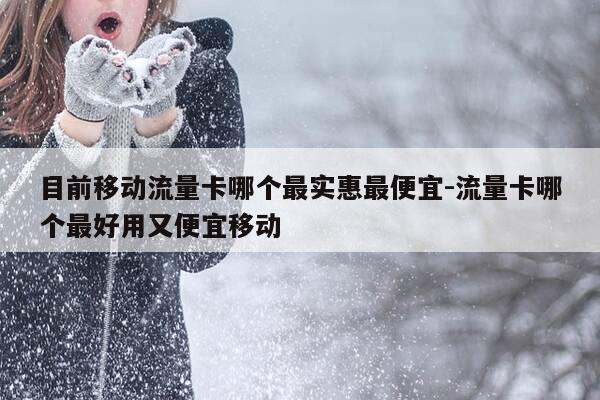 目前移动流量卡哪个最实惠最便宜-流量卡哪个最好用又便宜移动-第1张图片-优惠活动网