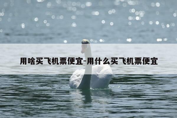 用啥买飞机票便宜-用什么买飞机票便宜-第1张图片-优惠活动网