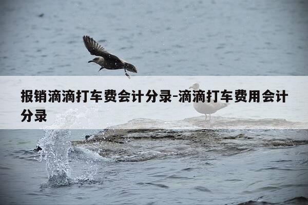 报销滴滴打车费会计分录-滴滴打车费用会计分录-第1张图片-优惠活动网