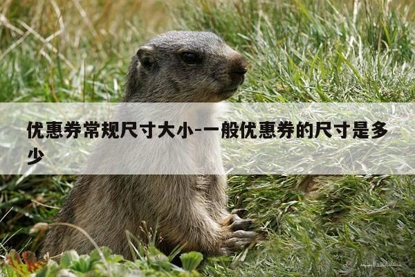 优惠券常规尺寸大小-一般优惠券的尺寸是多少-第1张图片-优惠活动网