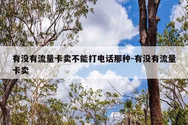 有没有流量卡卖不能打电话那种-有没有流量卡卖-第1张图片-优惠活动网
