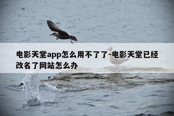 电影天堂app怎么用不了了-电影天堂已经改名了网站怎么办-第1张图片-优惠活动网