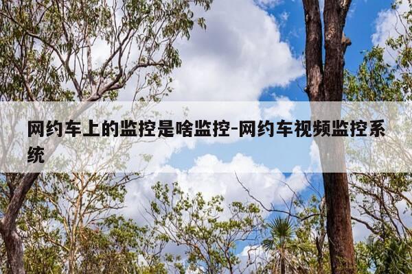 网约车上的监控是啥监控-网约车视频监控系统-第1张图片-优惠活动网 网约车上的监控是啥监控-网约车视频监控系统-第1张图片-优惠活动网