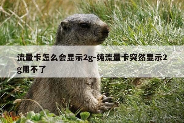 流量卡怎么会显示2g-纯流量卡突然显示2g用不了-第1张图片-优惠活动网