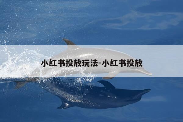 小红书投放玩法-小红书投放-第1张图片-优惠活动网 小红书投放玩法-小红书投放-第1张图片-优惠活动网