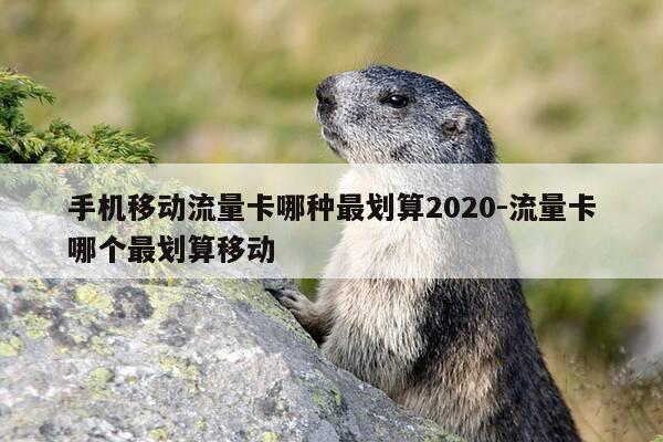 手机移动流量卡哪种最划算2020-流量卡哪个最划算移动-第1张图片-优惠活动网