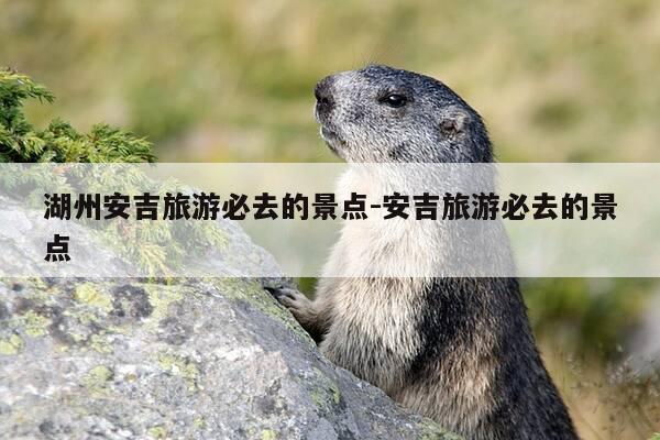 湖州安吉旅游必去的景点-安吉旅游必去的景点-第1张图片-优惠活动网