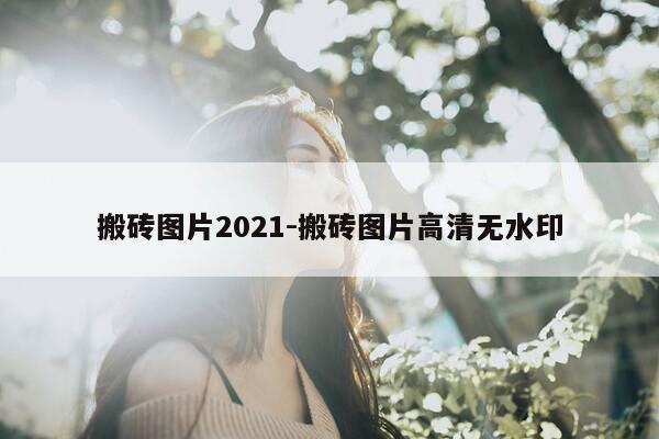 搬砖图片2021-搬砖图片高清无水印-第1张图片-优惠活动网