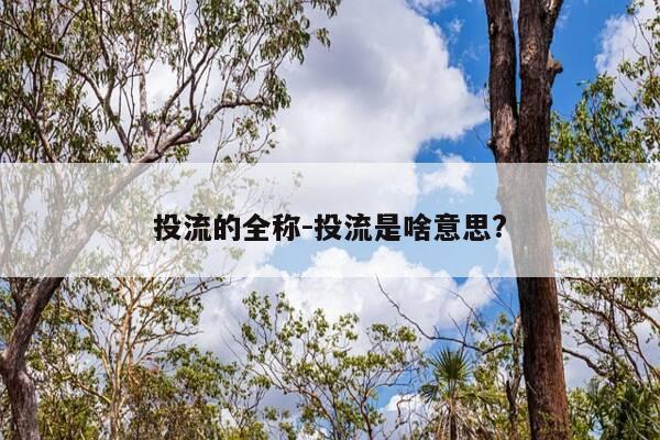 投流的全称-投流是啥意思?-第1张图片-优惠活动网