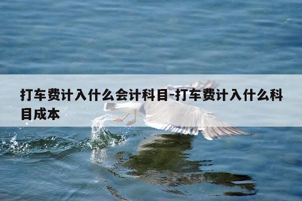 打车费计入什么会计科目-打车费计入什么科目成本-第1张图片-优惠活动网